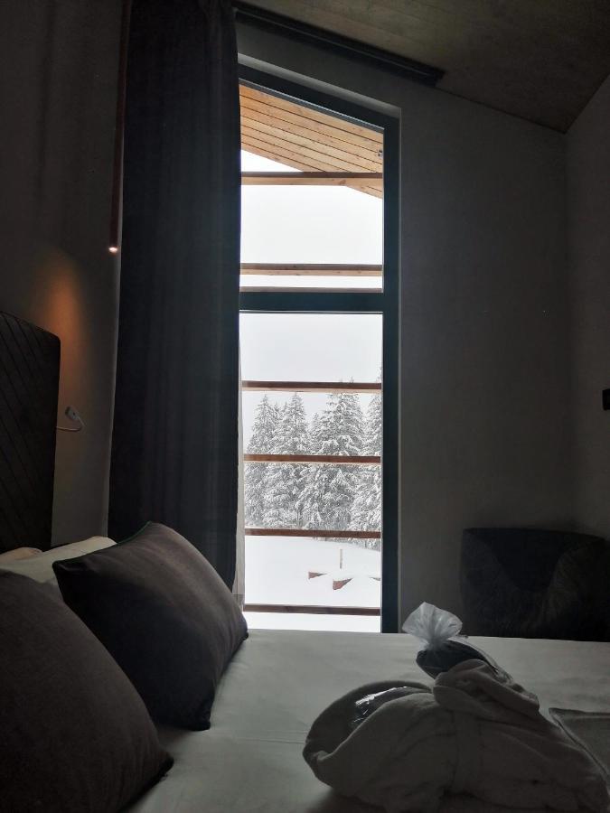 Hotel Aethos Monterosa Champoluc Zewnętrze zdjęcie